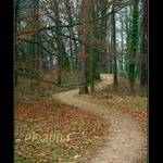 At vas vase cesta ...