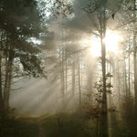 zima, lezavo, vlhko, ale krásně