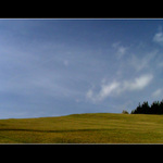 XP Desktop + stromy :-)