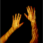 PF 2004