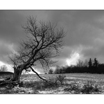 Beskydy Dolní Lomna  6.12.2003