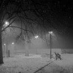 Poslední podzimní mlhavý večer