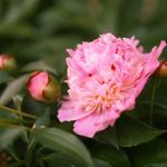 Vzpominka na letni dny