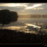 - - O N  S H O R E  III. - -