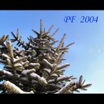 PF 2004