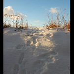 Kam mi zase zdrhli !?