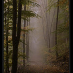 Cesta do neznáma II.