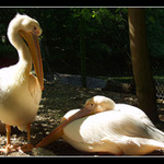 Tak   kde si sa to včera flákal?!?!?!?!!!!