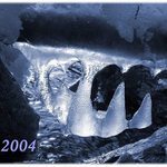 PF 2004