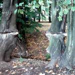 O překonání překážek