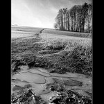 Untitled 2