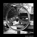 Stojící neperpetum