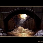 <b>Golden sewer</b> ... aneb Zlatá stoka