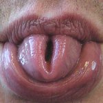 ranna rozcvicka pre juliusa ticheho