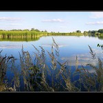 johoČeský rybníček