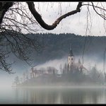 Ostrov