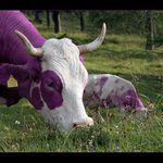 <b> A přece existují!!!