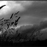 Bouřka šumavská...