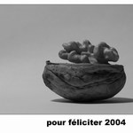 pour féliciter 2004