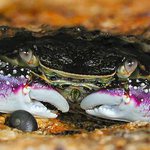 Ve škvíře, aneb čekání na příliv