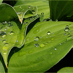 Když po dešti vysvitne slunce