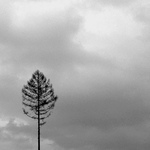 strom