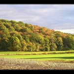 Začátek podzimu ? (2)