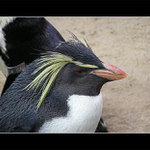 Punk is not dead!!! :)