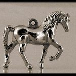 Ošoupaný koníček