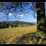 Podzim ve středohoří