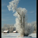 krásný Štedrý den