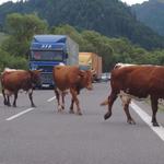 Pochod odborárov :)