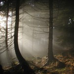 Pátrání po Bílé hoře