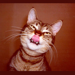 Jsem ti říkal, že si na špičku dosáhnu