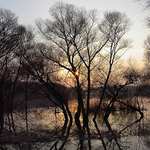 Vysoka (pri) Morava(e)