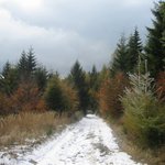 Podzimní krajina