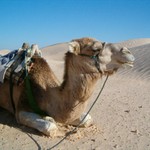 Tak nasedat a frčíme!:-)