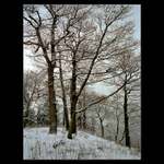 TICHO V ZOUFALÉ KRAJINĚ(...zastav se...)