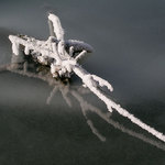 Zakliaty v ľade ...