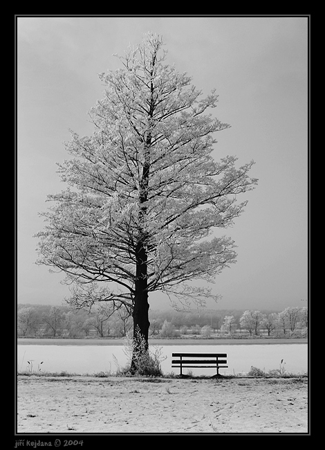 U zamrzlého Labe I.