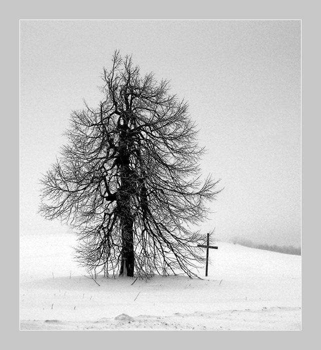 Čas, ten vždycky ví....