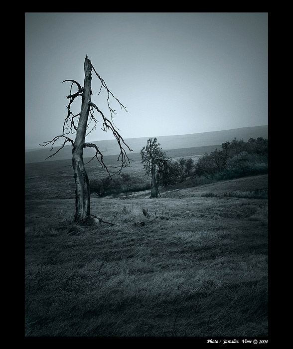 <b> - Krušnohorská - </b>