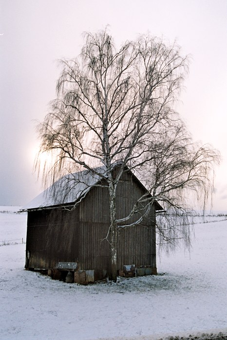 Zimní podkrkonošská