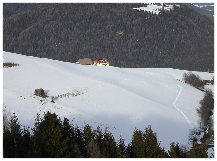 Zasnežená krajinka