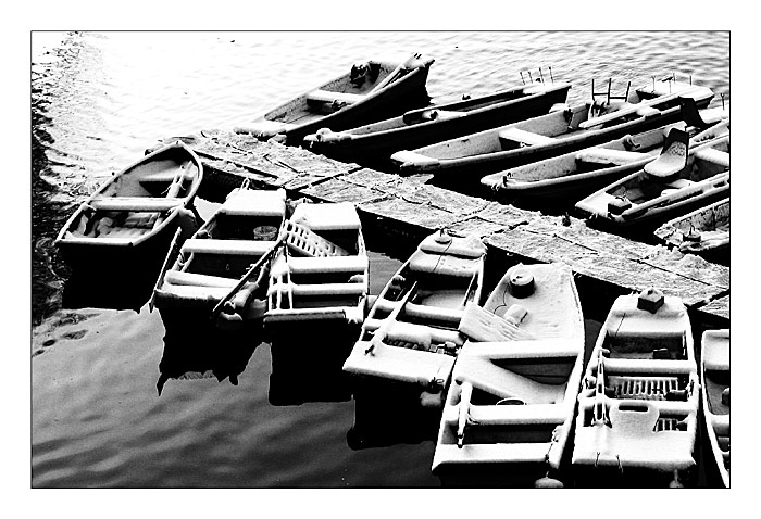 zimní spánek lodiček