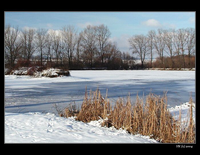 zima v nížině