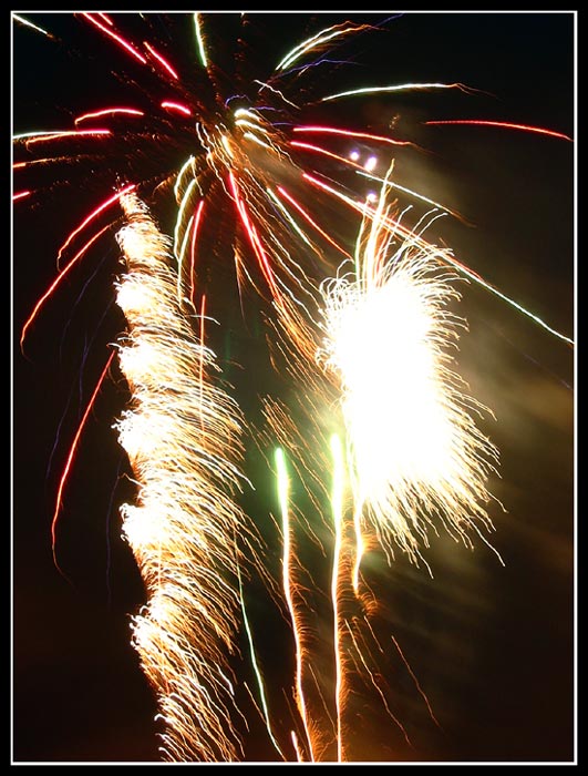 .<b> NEW YEAR PALM <b>.