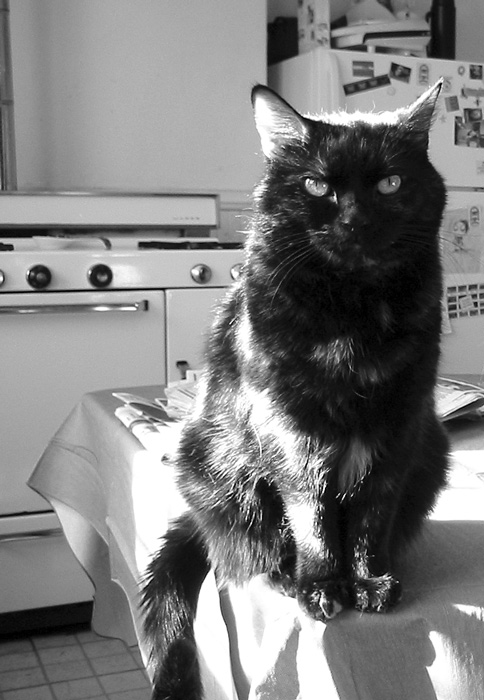 Maya - Warm Spot in a Cold House