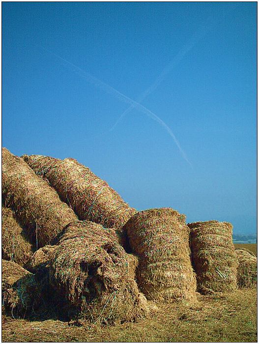 Křižovatka