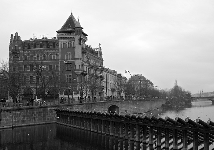 Nabřeží